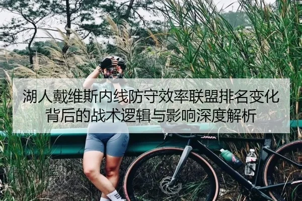 湖人戴维斯内线防守效率联盟排名变化背后的战术逻辑与影响深度解析